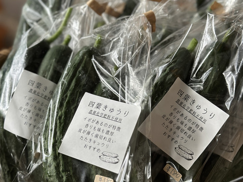 【今だけ！】農薬化学肥料不使用キラピカ野菜BOX7品グリーンレモン&ぴゅあみかんジュース１本