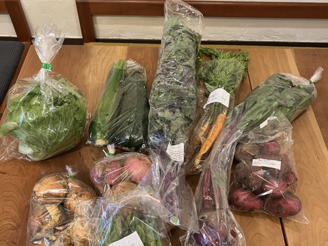 富士山麓  自然栽培野菜セット（なにもいれない）  ８品