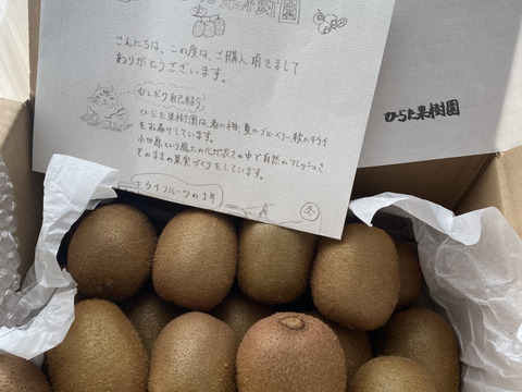 まじりっけなし！｢自然栽培 農薬不使用の国産キウイフルーツ｣2㎏