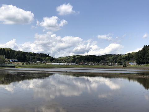 盆休安送込！アスパラ（200g×2袋）化学肥料・除草剤不使用