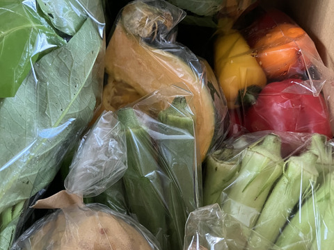 Sサイズ ＊旬野菜セット(約6~7品)【農薬：栽培期間中不使用】