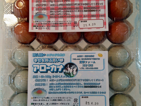 出荷当日の朝採り新鮮お届け致します！平飼い濃厚卵　アローカナ15個：純国産赤鶏あずさ15個計30個＋割れ保証
