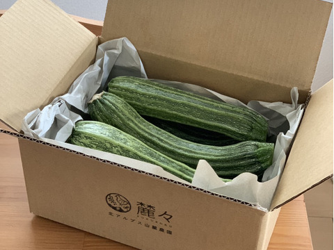 【ステラ２】ジューシーでやわらかな星型のズッキーニ（8本入り）