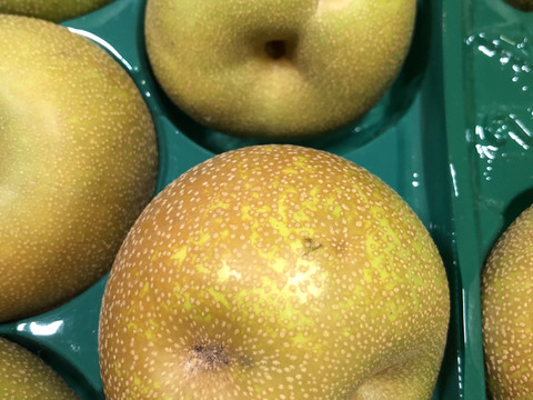 【幸水】ミニサイズ梨を格安で🍐【家庭用】約3.5Kg