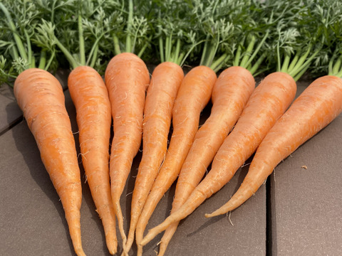 はぴぱら産の甘い葉付きにんじん🥕(1kg)