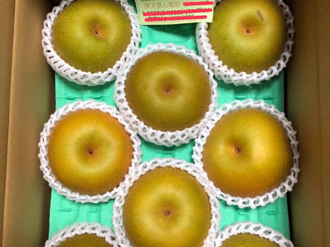 甘～い幸水梨、3キロダンボール箱🍐6～10玉入り　発送中