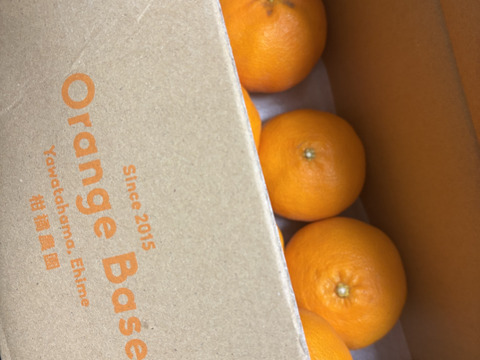 【感謝の豊作割！】甘平2kg（ご家庭用）