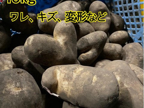 ●訳あり品 じゃがいも メークイン！
10キロ 北海道 越冬ジャガイモ！