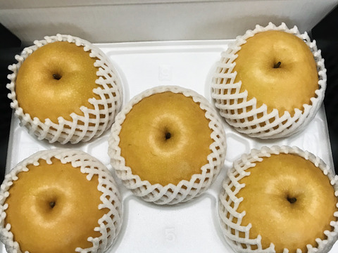 【高木梨特選3.5kg】キメ細か!!甘くてとってもジューシー!!完熟新高梨(特大5個入)有機肥料育ち PREMIUM BOX(福岡県産)