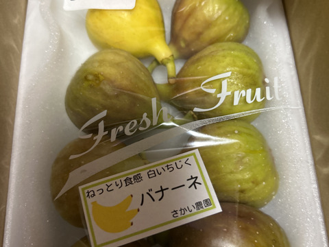 完熟いちじく多品種盛り合わせ
