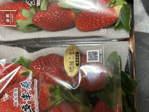 🥇いちごグランプリ金賞受賞！希少品種！『肥後こまち』ご家庭用パック 250g×4p