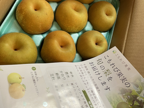 梨：幸水】家庭用 3kg(8〜9玉)｜千葉の梨農家から朝採れ直送【予約販売