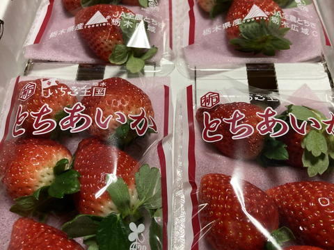 (4P)約1kg【いちご・とちあいか】実がしっかりして酸味が少なく甘さが際立つ新品種★「とちあいか」(４パックx260g) 栃木県産いちご●一番人気いちごセット●お届け日指定可