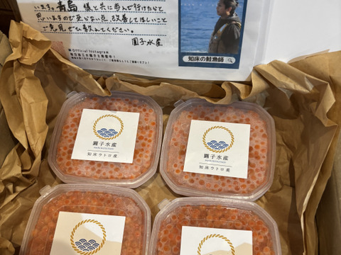 【定番！新物イクラ！】無添加秋鮭いくらの醤油漬け２４０ｇ（１２０ｇ×２）