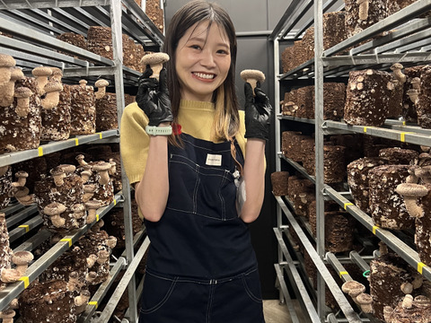 【父の日ギフト】大田区で収穫！東京福しいたけギフト用（600g・パック包装）