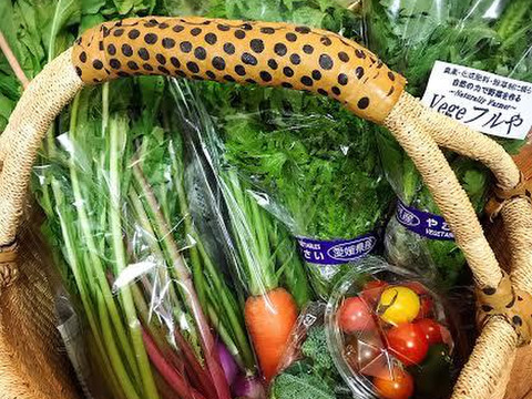 新鮮!旬の無農薬野菜おまかせセット(8~10品目)