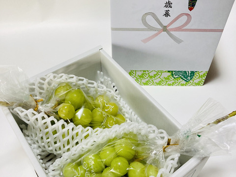 【冬ギフト】【御歳暮】【クリスマス】「シャインマスカット」　　1房約550g 2房入り　熨斗対応可