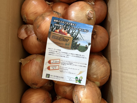 【数量限定特別価格】【数量限定：大家族・飲食店応援企画】淡路島産玉ねぎ訳あり10ｋｇ