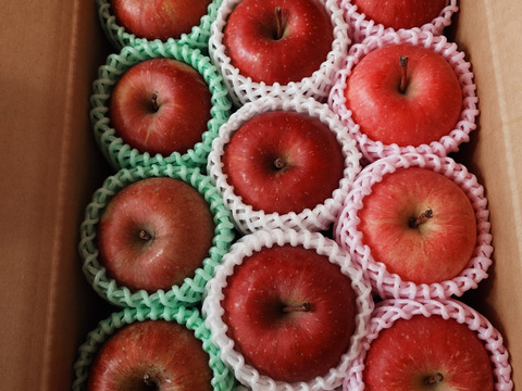 ☆3種の《ふじ》【食べ比べ】☆農薬不使用りんご入り☆3キロ（８〜１２玉）