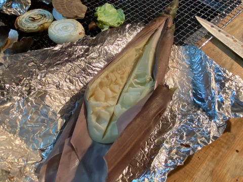 破竹たけのこ10kg収穫後予冷発送！