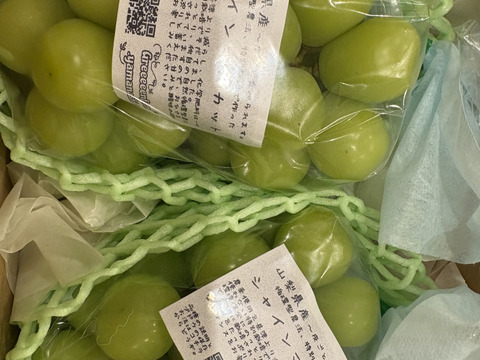 【朝どれ】【9月からお届け:1kg以上！】シャインマスカット 1kg箱