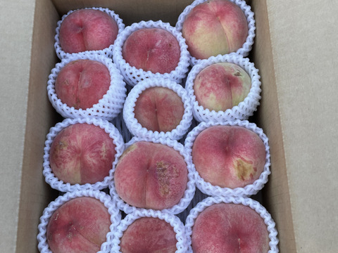 ★農薬節減 ★完熟　川中島　白桃　約3kg 約9玉〜12玉 ご家庭用にも !!