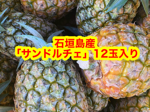 訳あり！石垣島産「サンドルチェ」15玉入り