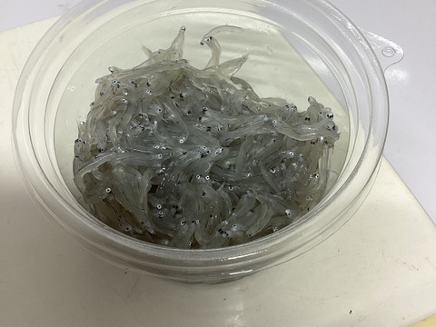 生シラス！‼極小ちりめん、感動のちりめんヒジキこの6点は自由にセット変更もOKの贅沢【福袋】50セット
売切れ必須のちりめんヒジキもこれ用にキープしてました！あったのといわれる生シラスも