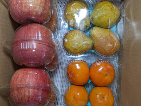 柿、ふじりんご、シルバーベル