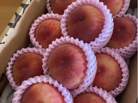 濃厚な甘さ！山形県産白桃いけだ【丸かじり2キロ】