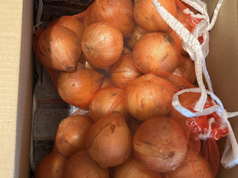玉ねぎ 甘くみずみずしい ❣❣ 九十九里産 新玉ねぎ 4Kg (除草剤不使用） S