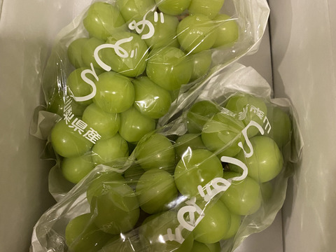 【予約販売！💚朝採れ山梨シャインマスカット】１キロ ２房でお届け！一度食べたら忘れられない 【生産量日本一の山梨県産】