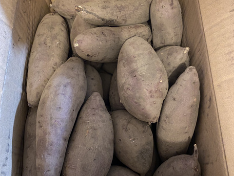 【訳あり品】⭐︎10k⭐︎熟成！蜜たっぷり紅はるか♪