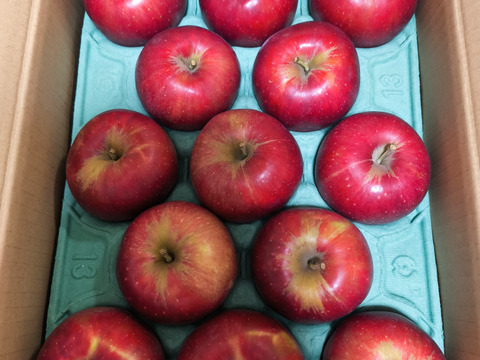 発送中🍎紅玉 3キロ箱【有名パティシエ鎧塚さんが紅玉でタルトタタンのレシピ&動画公開！！】 加工もおすすめ6玉〜15玉サイズ 商品ID42918 長野県 信州 安曇野 リンゴ
