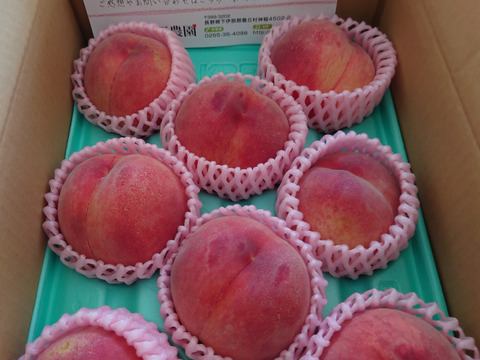 【夏ギフト】初夏を彩る桃 品種はおまかせ！朝採りした桃をその日に発送します！