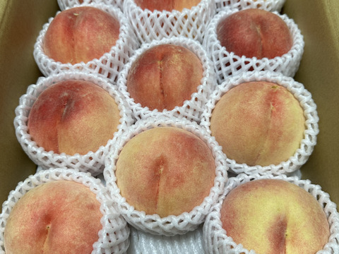 川中島白桃（8月下旬お届け）【わけあり家庭用 3kg】ジュワッと果汁溢れる！白桃