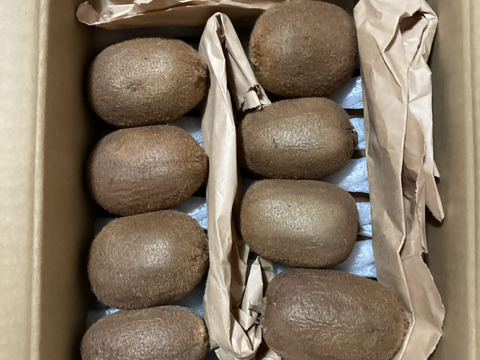 キウイフルーツ【農薬未使用・化学肥料未使用・除草剤未使用】