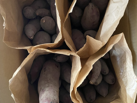 【再販準備中】甘～いさつまいも　紅はるか🍠　約１０㎏