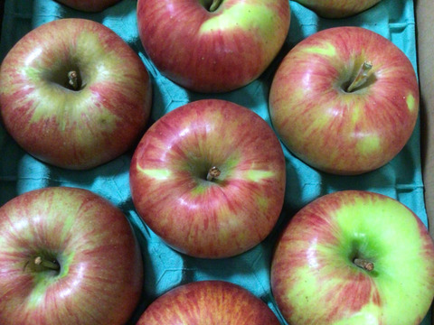 残り30ケース🍎🏃‍♀️サンつがる 3キロ箱 6玉〜15玉サイズ 商品