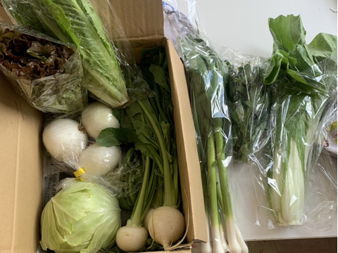 旬＊お試し野菜セット(６～7品目)