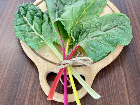 朝採り旬野菜セット(８０サイズ)