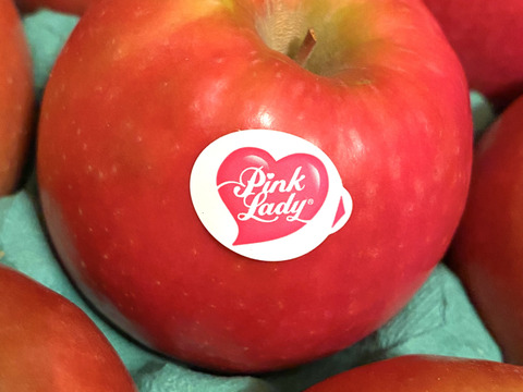 12月9日から🍎【ヒルナンデスでました！】ピンクレディ®︎ 5キロ訳あり品 加工用にご利用ください！長野県 信州 安曇野 リンゴ 幻 幻のリンゴ 予約 希少 旬 ID36611 ピンクレディー