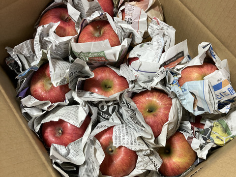 最終❗️山形県産　サンふじ🍎小玉🍎10キロ　訳あり家庭用❗️