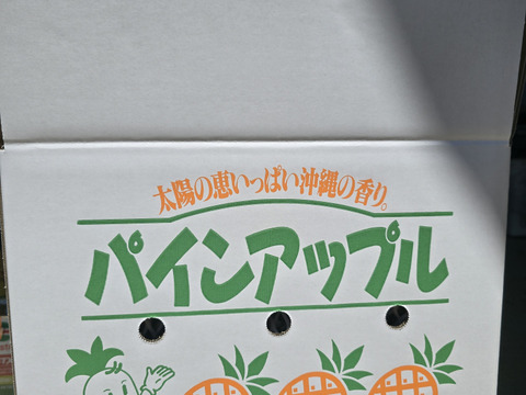 甘さ際立つ！沖縄県産『サンドルチェ』🍍　3玉　3.5kg～