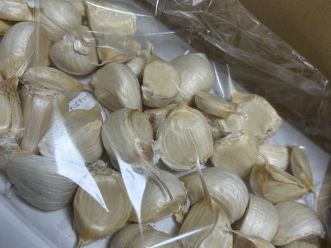 青森にんにく　訳ありバラ500g お得　ホワイト六片 家庭用