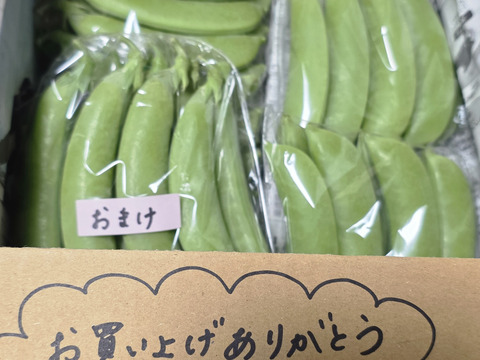 ☆数量限定価格☆『スナップエンドウ』1Kg　小分けになってます♪
