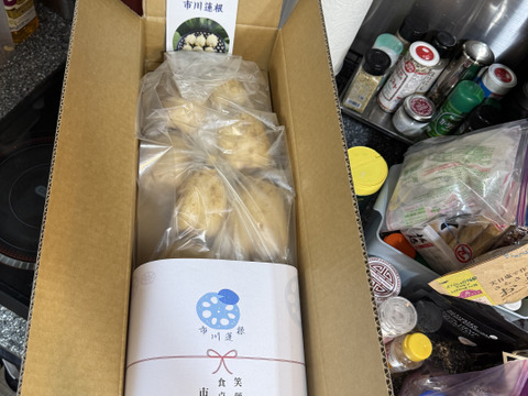 リクエスト殺到につき再販決定！！！！！
満天☆青空レストラン　じゅん散歩　茨城県土浦市ブランド認定品『市川蓮根』【２キロ】