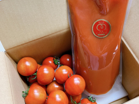 【お試しサイズ】プレミアムトマト”まいひめ物語”　1kgとトマトジュース1Lパック【初回限定BOX】