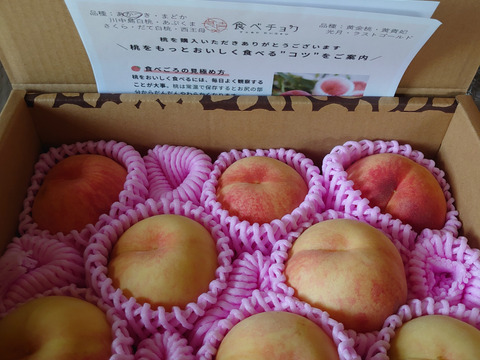 山形県産 桃 2箱 6,000円 山形県産の桃 化粧箱 2kg 【山形ふるさと便の桃】 | 野川ファーム