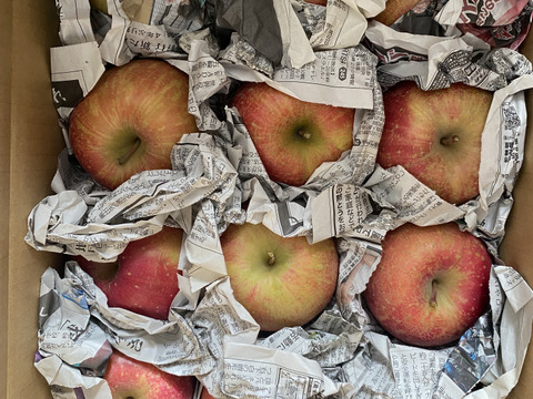 ご家庭用　サンふじ　約3kg(7個〜14個)